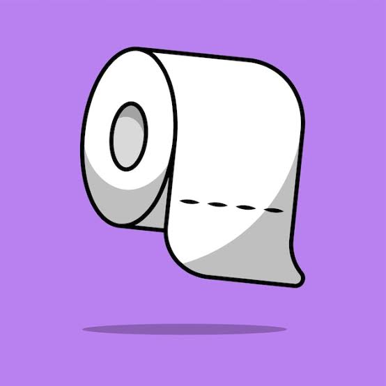 دستمال توالت